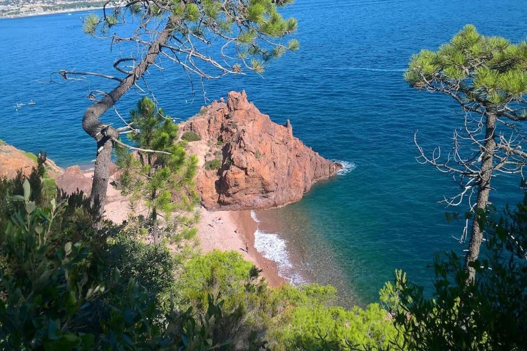 2 Pieces Climatise A 200M Des Plages Теуль-сюр-Мер Экстерьер фото