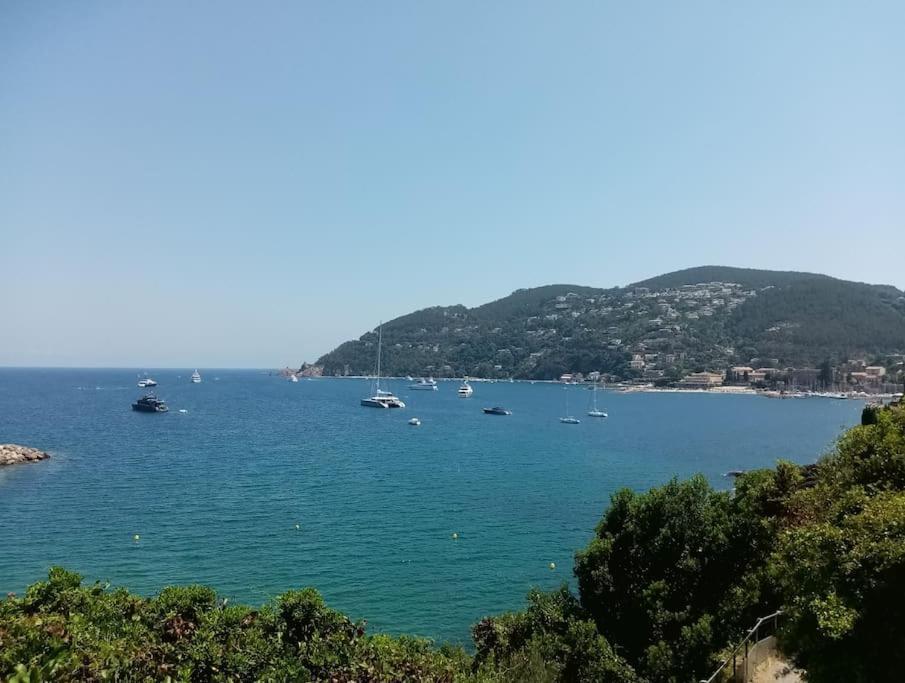 2 Pieces Climatise A 200M Des Plages Теуль-сюр-Мер Экстерьер фото
